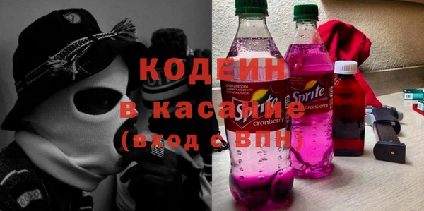 индика Яранск
