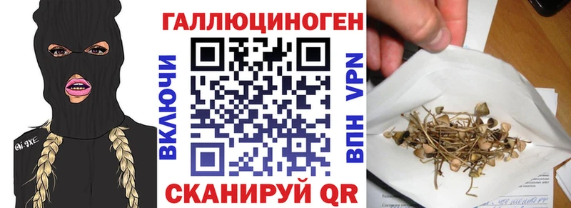 blacksprut рабочий сайт Грязи Галлюциногенные грибы прущие грибы купить закладку