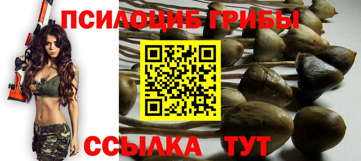 Псилоцибиновые грибы MAGIC MUSHROOMS Грязи