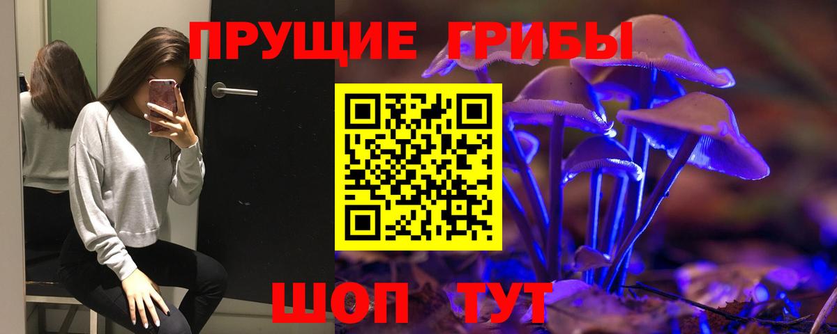Галлюциногенные грибы прущие грибы  цены наркотик  Грязи 