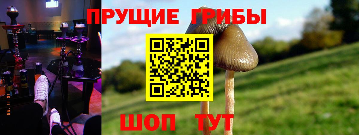 Галлюциногенные грибы MAGIC MUSHROOMS  Псилоцибиновые грибы ЛСД  как найти наркотики  Вход с VPN  Грязи 