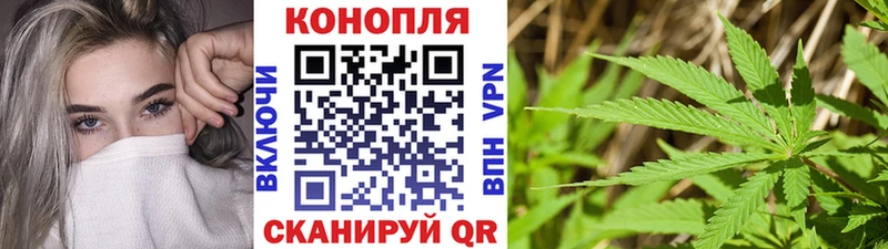 Конопля OG Kush  Грязи 